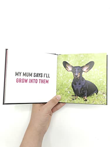 Charlie Ellis - Funny Dogs : A Hilarious Collection of the World's image 4