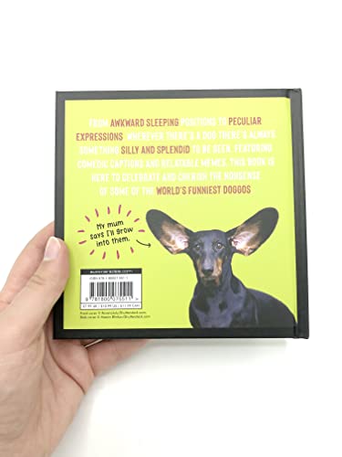 Charlie Ellis - Funny Dogs : A Hilarious Collection of the World's image 5