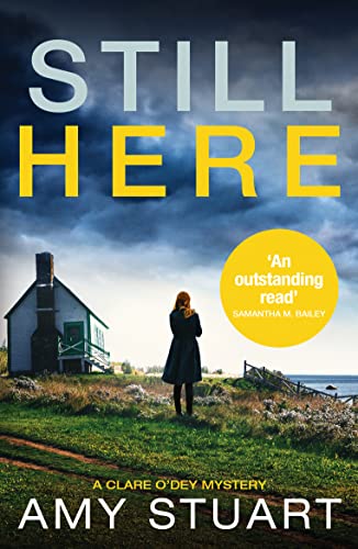 Amy Stuart - Still Here : An absolutely gripping private investigator
