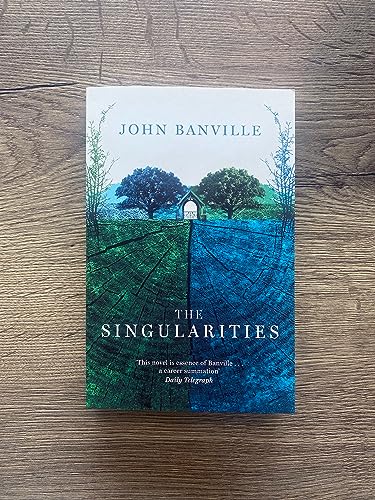 John Banville - Singularities - Paperback image 2