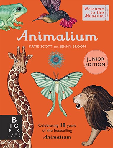 Jenny Broom - Animalium (Junior Edition) - Hardback image 1