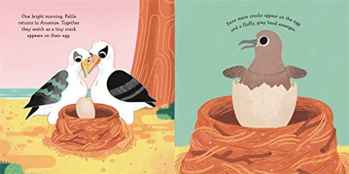 Francesca Dryden - Aloha Albatross : A story about love, pride and fam image 2