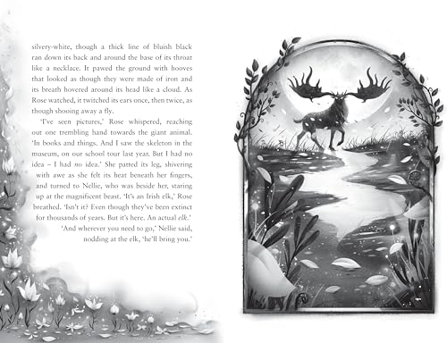 Sinead O'Hart - Silver Road - Paperback image 2