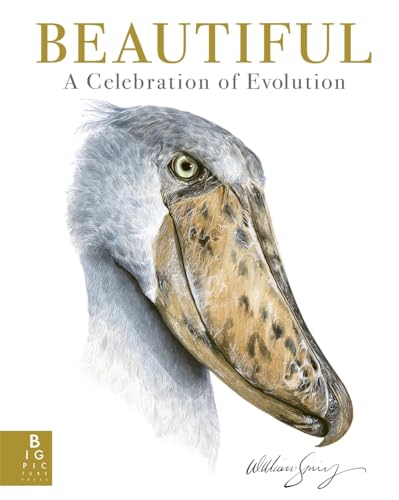 William Spring - Beautiful : A Celebration of Evolution - Hardback image 1