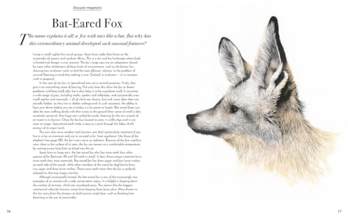 William Spring - Beautiful : A Celebration of Evolution - Hardback image 3