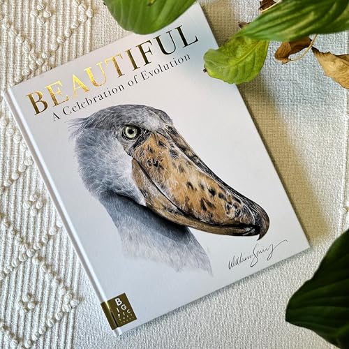William Spring - Beautiful : A Celebration of Evolution - Hardback image 5