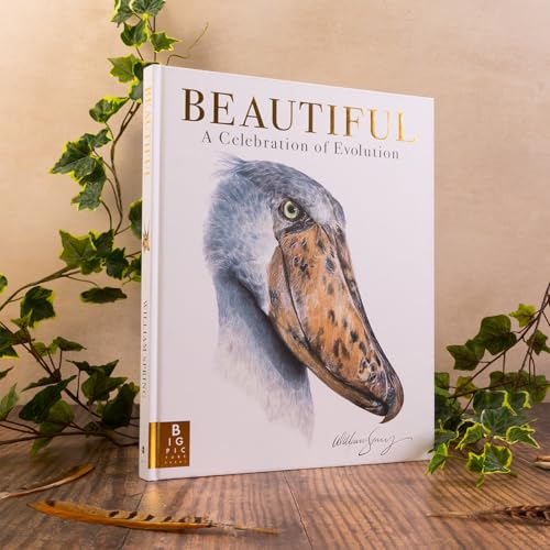 William Spring - Beautiful : A Celebration of Evolution - Hardback image 6