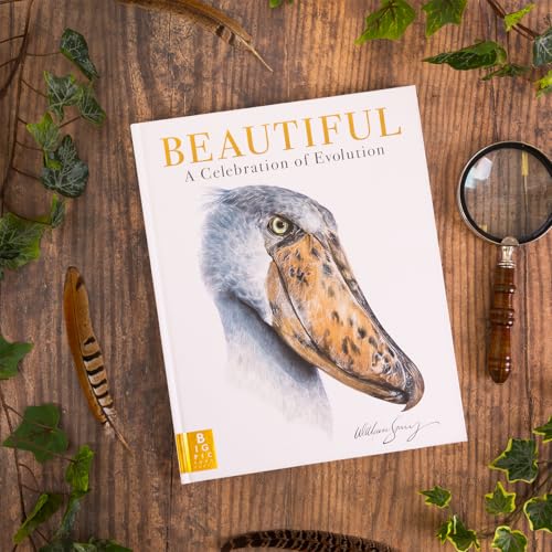William Spring - Beautiful : A Celebration of Evolution - Hardback image 7