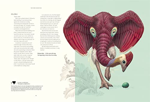 Raoul Deleo - Terra Ultima : The discovery of a new continent - Hardba image 4