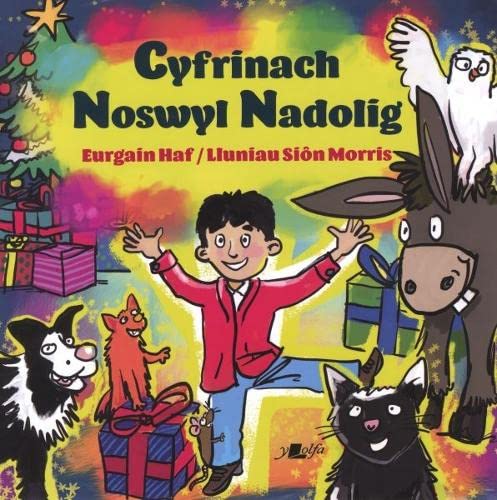 Eurgain Haf - Cyfrinach Noswyl Nadolig - Paperback image 1