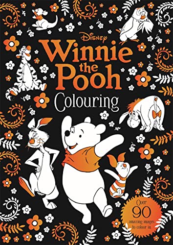Disney Winnie The Po - Paperback image 1