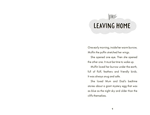 Cath Howe - Call the Puffins - Paperback image 3