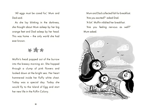 Cath Howe - Call the Puffins - Paperback image 4
