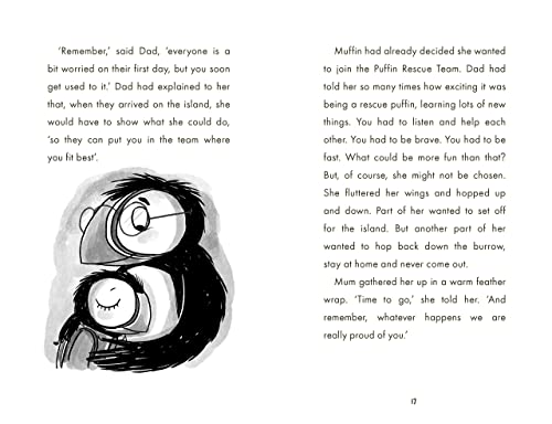 Cath Howe - Call the Puffins - Paperback image 7
