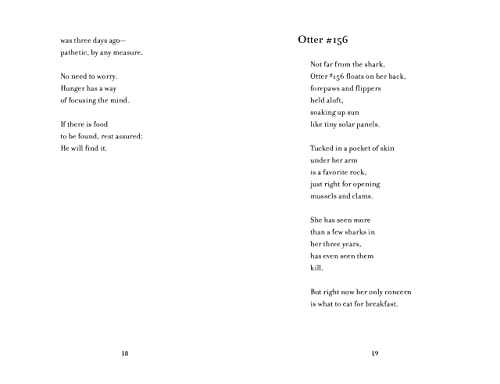 Katherine Applegate - Odder : The New York Times Bestseller - Paperbac image 6
