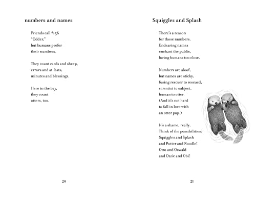 Katherine Applegate - Odder : The New York Times Bestseller - Paperbac image 7