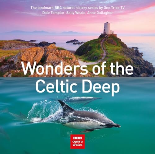 Anne Gallagher - Wonders of the Celtic Deep - Hardback image 1
