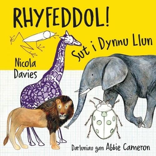 Nicola Davies - Rhyfeddol! Sut i Dynnu Llun : 1 - Paperback image 1