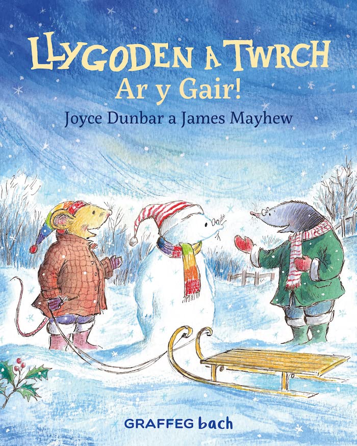 Joyce Dunbar - Llygoden a Twrch: Ar y Gair! : 5 - Paperback image 1