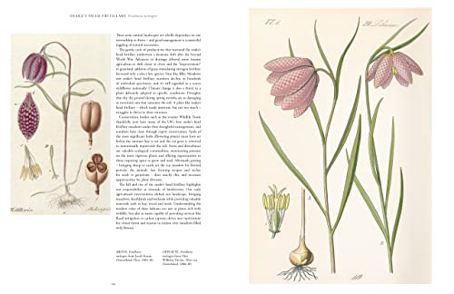 Royal Botanic Garden - Kew - Rare Plants : The world's unusual and image 4