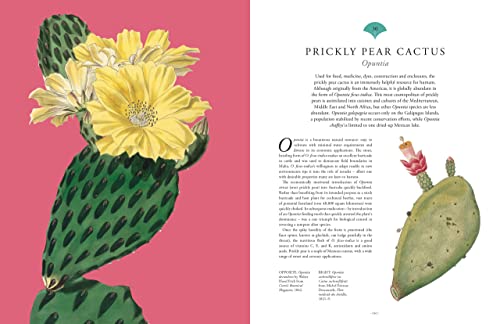 Royal Botanic Garden - Kew - Rare Plants : The world's unusual and image 6