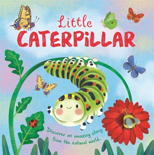 Autumn Publishing - Little Caterpillar - Hardback image 1