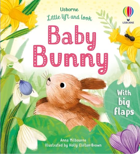 Anna Milbourne - Little Lift and Look Baby Bunny - Hardback image 1