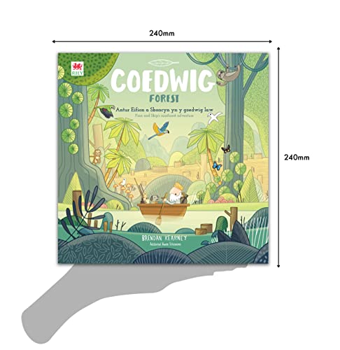 Brendan Kearney - Cyfres Anturiaeth Eifion a Sboncyn: Coedwig / Forest image 3