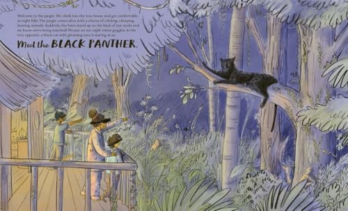 Kate Peridot - Meet the Cats - Hardback image 3
