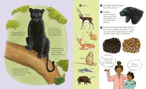 Kate Peridot - Meet the Cats - Hardback image 4