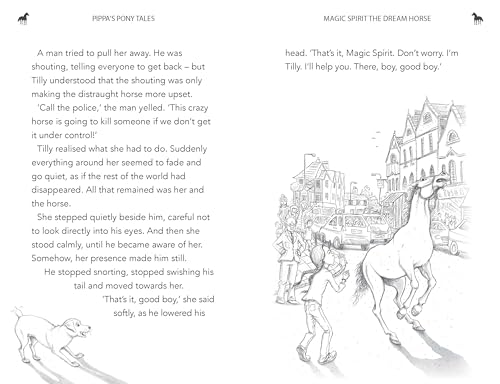 Pippa Funnell - Magic Spirit the Dream Horse - Paperback image 3