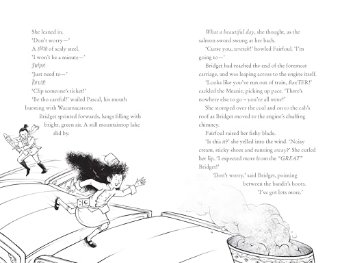 Martin Stewart - Bridget Vanderpuff and the Monster Mountain Mystery - image 2