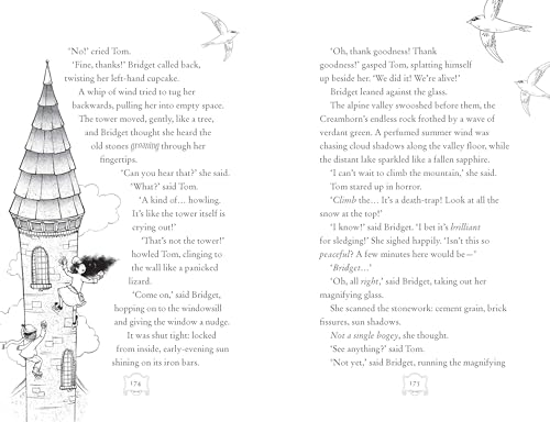 Martin Stewart - Bridget Vanderpuff and the Monster Mountain Mystery - image 4