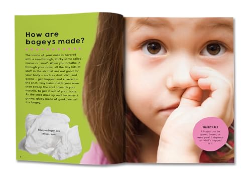 Saranne Taylor - First Big Book of How : How do polar bears keep warm? image 7