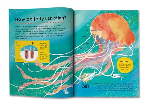 Saranne Taylor - First Big Book of How : How do polar bears keep warm? image 8