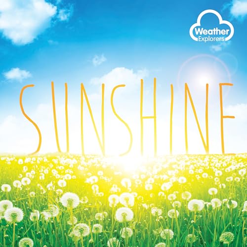 Harriet Brundle - Sunshine - Paperback image 1