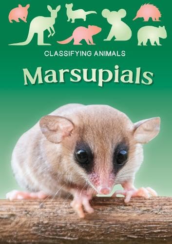 Madeline Tyler - Marsupials - Paperback image 1