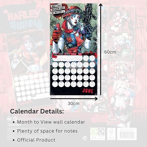 Harley Quinn 2024 Square Wall Calendar - Calendar image 5