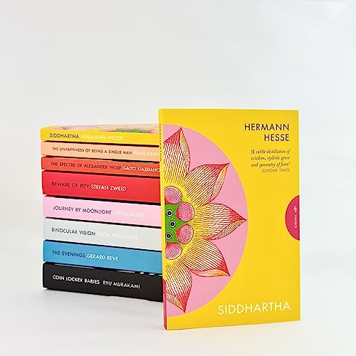 Pico Iyer - Siddhartha - Paperback image 2
