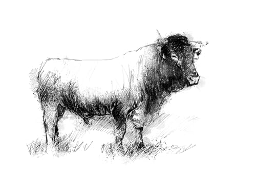 Dave Mountjoy - Being With Cows - Hardback image 2