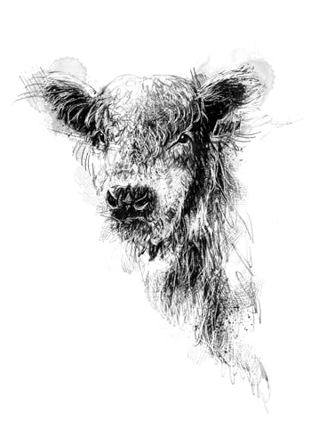 Dave Mountjoy - Being With Cows - Hardback image 3