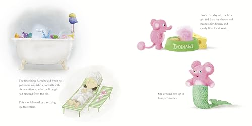 Devin Fan - Barnaby Unboxed - Hardback image 6
