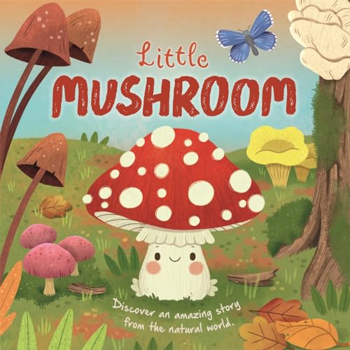 Autumn Publishing - Little Mushroom - Hardback image 1