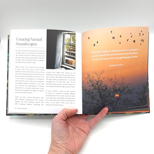 Remy Dambron - Nature Therapy : How to Use Ecotherapy to Boost Your Se image 3