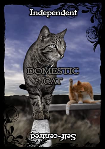 Ejay Soulguide - Animal Guidance & Aspects Oracle Cards - Non-book ite image 3
