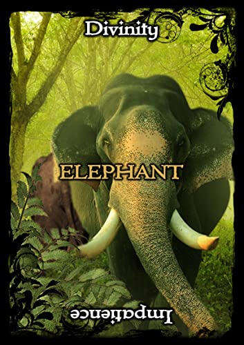 Ejay Soulguide - Animal Guidance & Aspects Oracle Cards - Non-book ite image 5