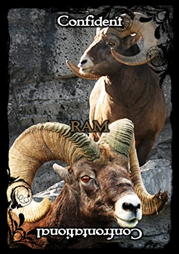 Ejay Soulguide - Animal Guidance & Aspects Oracle Cards - Non-book ite image 7