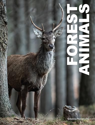 Julianna Photopoulos - Forest Animals - Hardback image 1