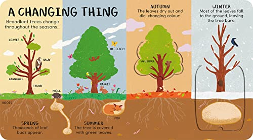 James Carter - All the Things a Tree Can Be - Hardback image 1