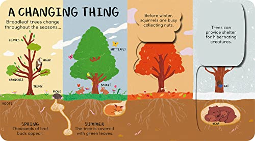 James Carter - All the Things a Tree Can Be - Hardback image 2